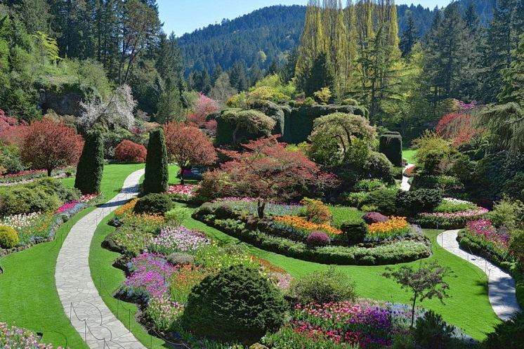 zahrada lemovaná chodníkem, jasně zelenou trávou a skalkami s dřevinami a okrasnými květinami různých barev květů